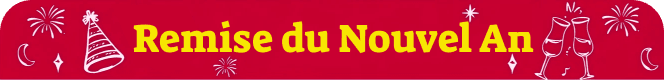 Remise de Nouvel An
