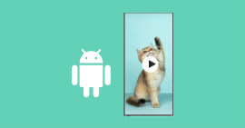 Lecteur video Android