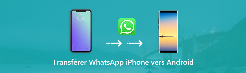 Transférer WhatsApp iPhone vers Android