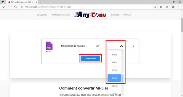 Choisir le format et lancer la conversion en OGG