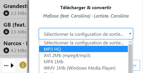 Télécharger de la musique Spotify en MP3