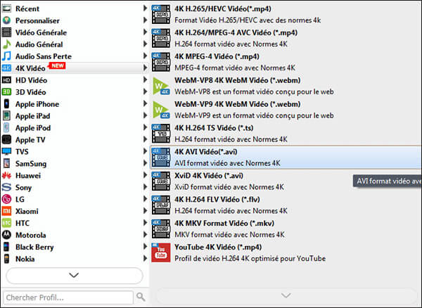 Choisir le profil 4k avi