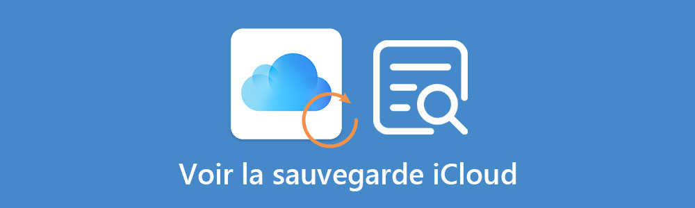 Voir la sauvegarde iCloud