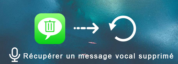 Récupérer des messages perdus ou supprimés dans la Messagerie Vocale