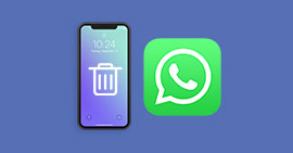 Supprimer les données WhatsApp sur iPhone