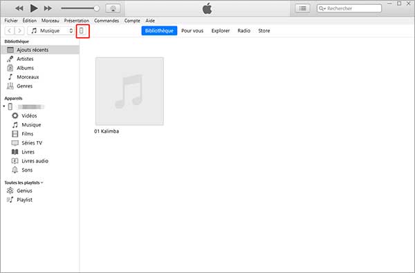Ouvrir iPhone sur iTunes