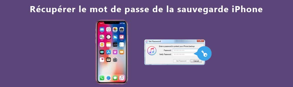 Récupérer le mot de passe de sauvegarde iPhone