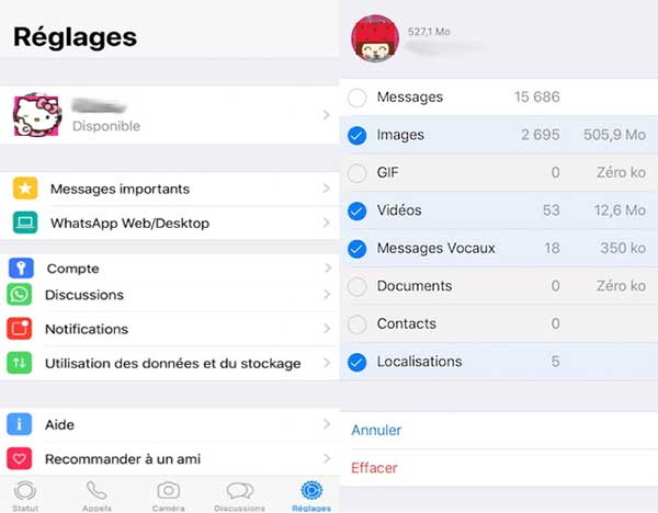 Supprimer les données directement via l'application WhatsApp