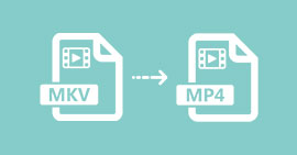 Convertir MKV en MP4