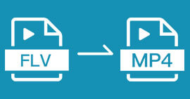 Convertir FLV en MP4