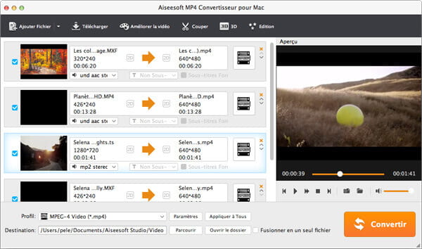 Interface de MP4 Convertisseur Vidéo