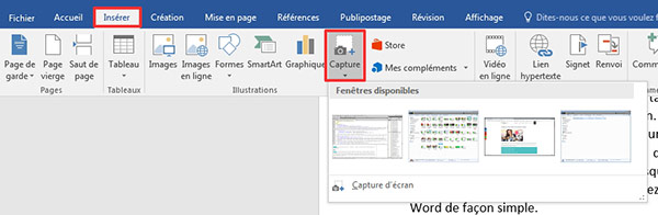 Insérer un PDF dans Word comme image