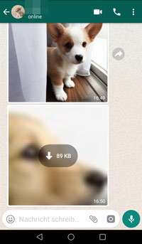 Enregistrer les images WhatsApp reçues