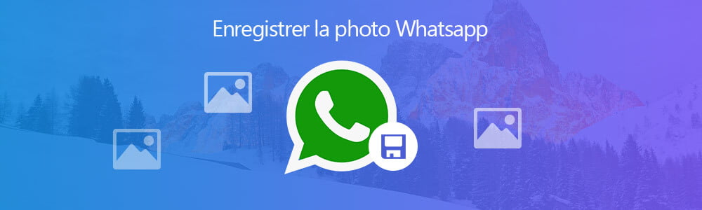 Enregistrer la photo WhatsApp