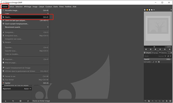Importer la photo dans GIMP