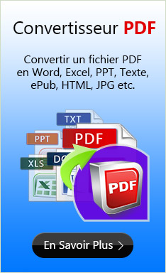 Convertisseur PDF