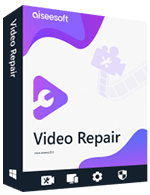 Video Repair