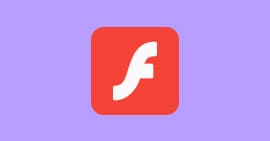 Adobe Flash Player et son alternative