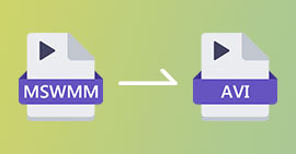 Convertir les fichiers MSWMM en AVI