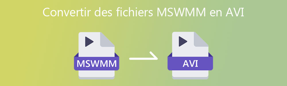 Convertir les fichiers MSWMM en AVI