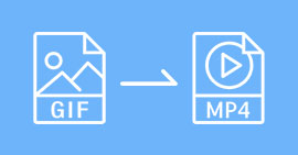 Convertir GIF en MP4