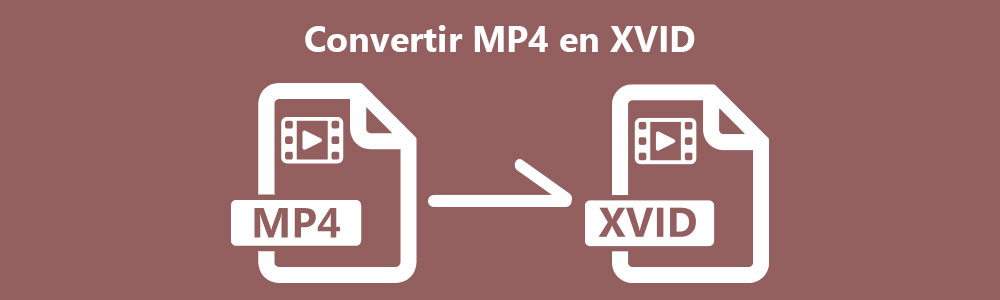 Convertir MP4 en XVID