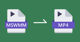 Convertir MSWMM en MP4