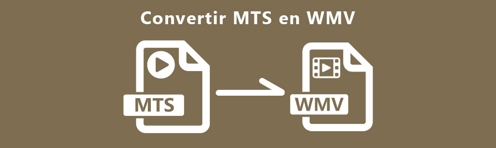 Convertir MTS en WMV