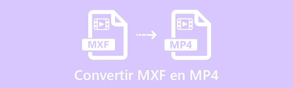 Convertir MXF en MP4