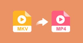 Convertir MKV en MP4