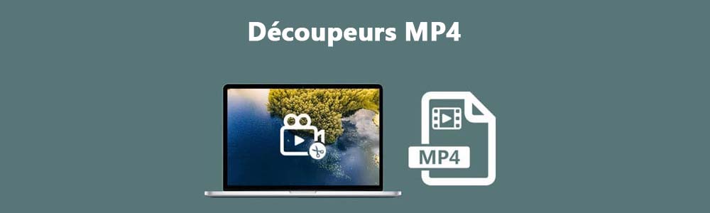 Découpeur MP4