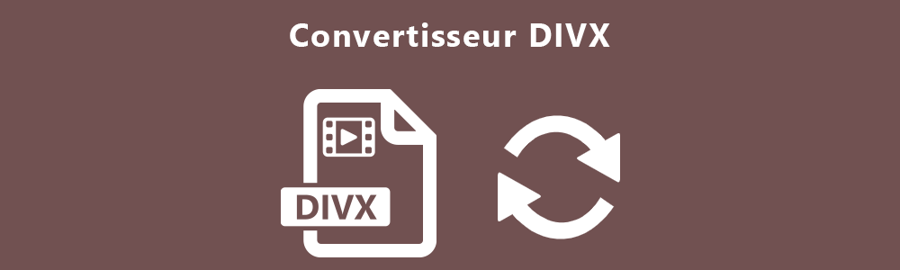 Convertisseurs DivX