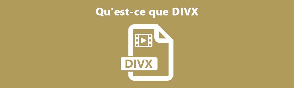Le fichier DIVX