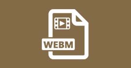 Le fichier WebM