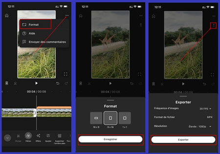 Formats vidéo et export vers YouTube