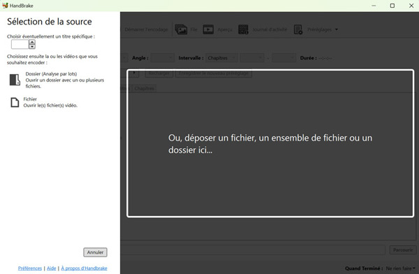 Convertir MKV en AVI