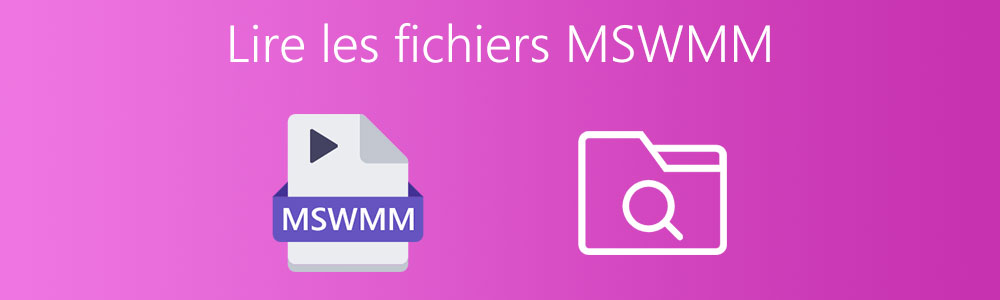 Lire les fichiers MSWMM