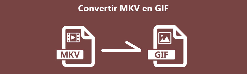MKV en GIF