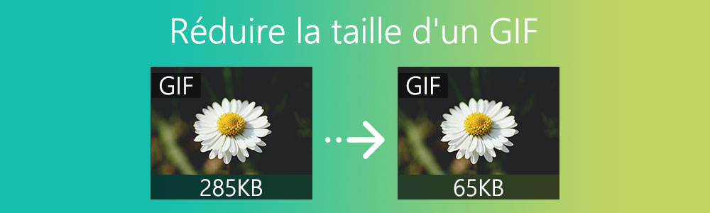 Réduire la taille d'un GIF