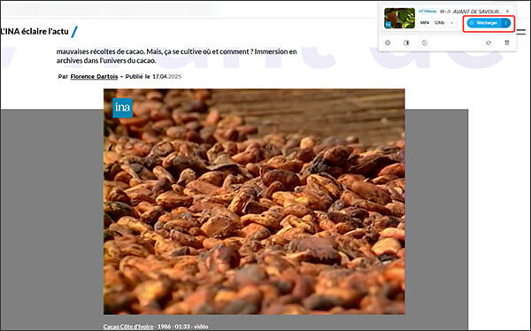 Télécharger la vidéo INA par Video DownloadHelper