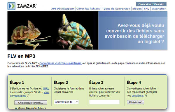 FLV en MP3 sur Zamzar
